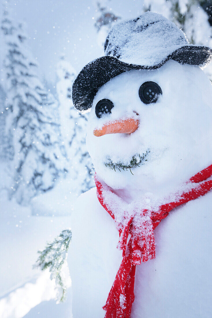 Schneemann, Kreuzbergpass, Südtirol, Italien