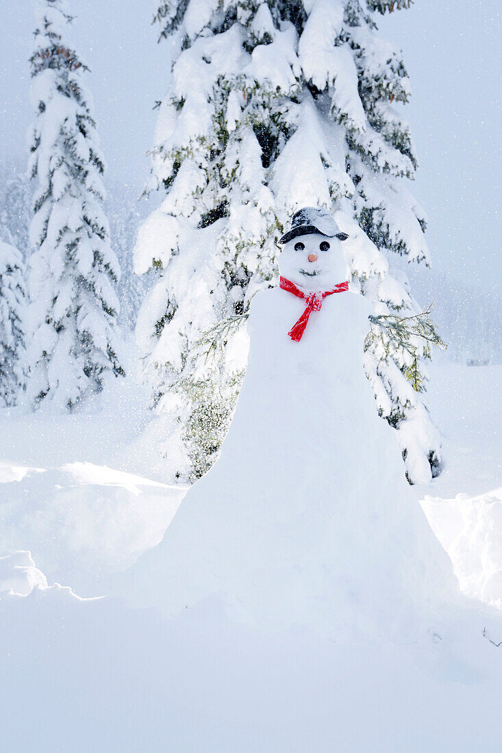 Schneemann, Kreuzbergpass, Südtirol, Italien