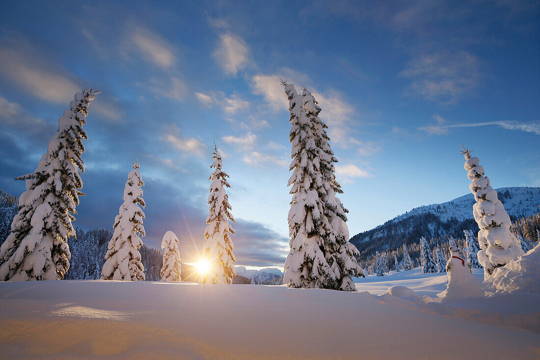 Winterlandschaft, Kreuzbergpass, Südtirol, Italien