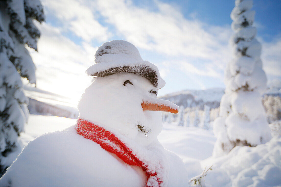 Schneemann, Kreuzbergpass, Südtirol, Italien