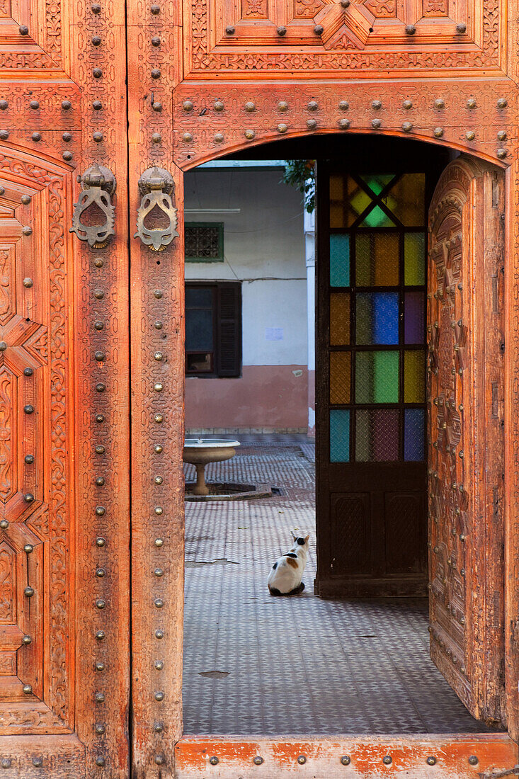 View through an old doorway into a courtyard with cat, Marrakech, Morocco