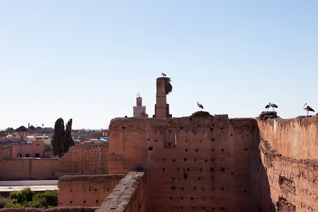 Störche im Badi Palast welcher Saaditen Gräber beherbergt, Marrakesch, Marokko