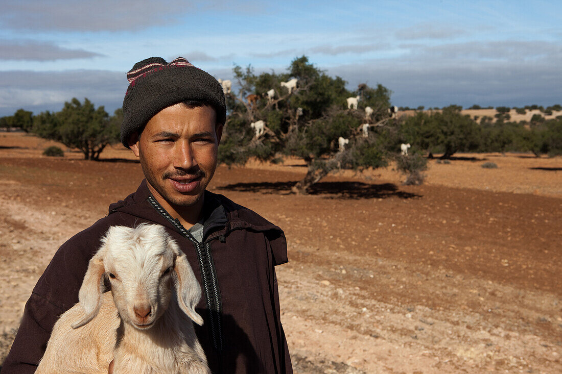 Shepherd in front of a herd of goats near an argan tree, Essaouira, Morocco
