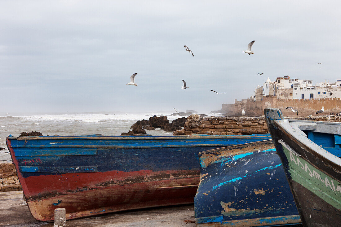fishing boats in the harbour of Essaouira with view of the city, Essaouira, Morocco