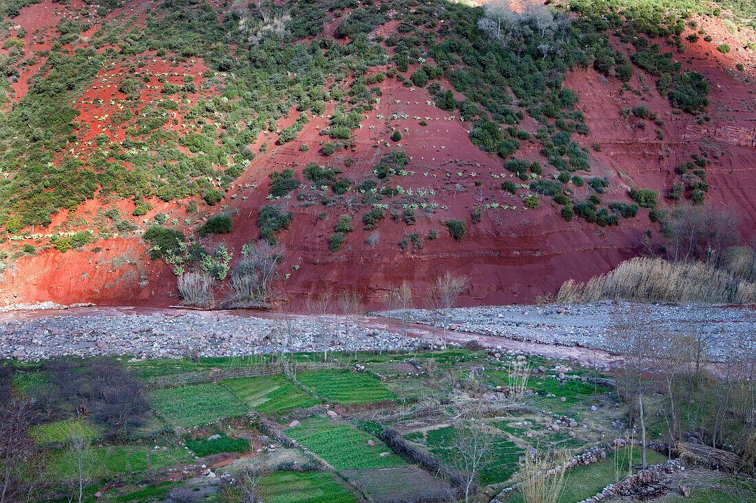 Felder und rote Erde, Valle de Ourika, Hoher Atlas, Marokko