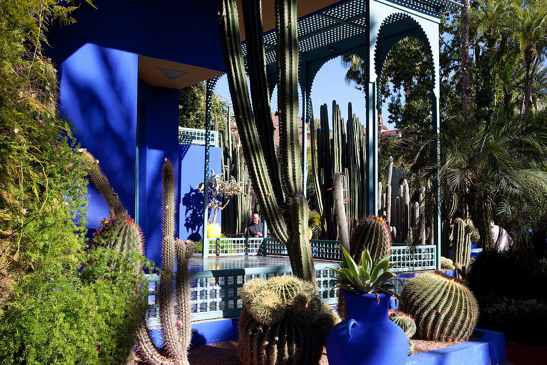 YSL's garden, Majorelle Garden, Marrakech, Morocco