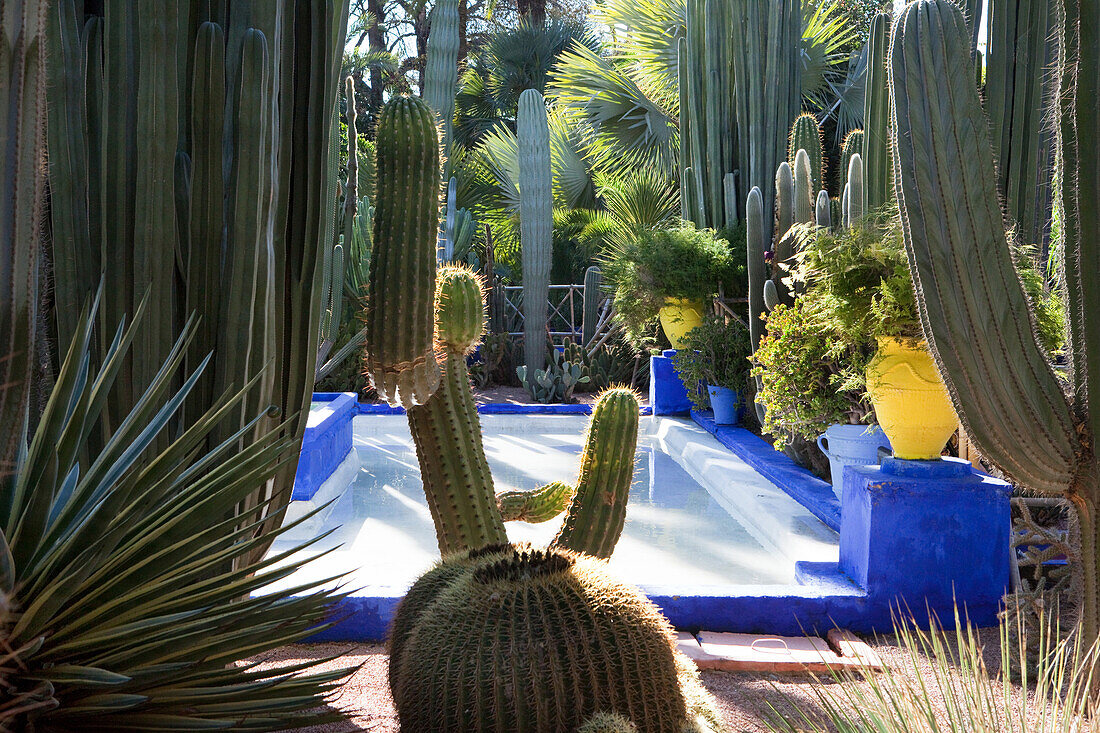 YSL's Garten, Jardin Majorelle, Marrakesch, Marokko