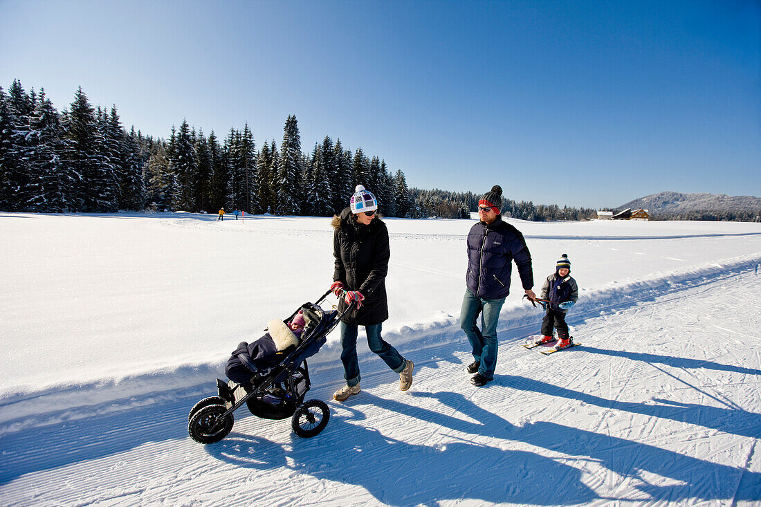 Family having a walk in snow, Styria, Austria