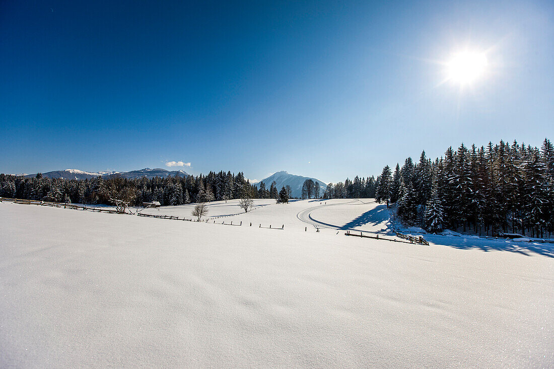Winter scenery, Ramsau am Dachstein, Styria, Austria