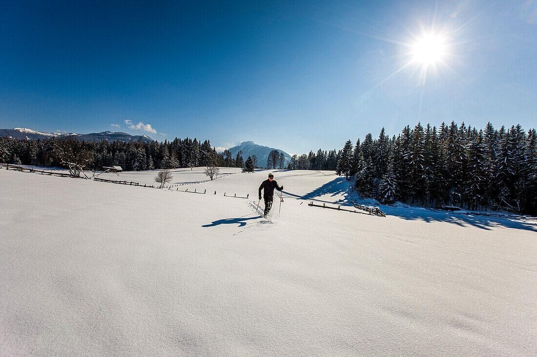 Cross-country skier in deep snow, Styria, Austria