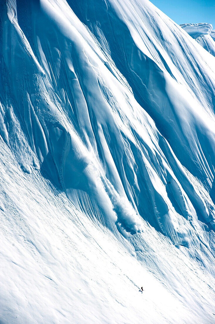 Skier downhill skiing, Chugach Powder Guides, Girdwood, Alaska, USA