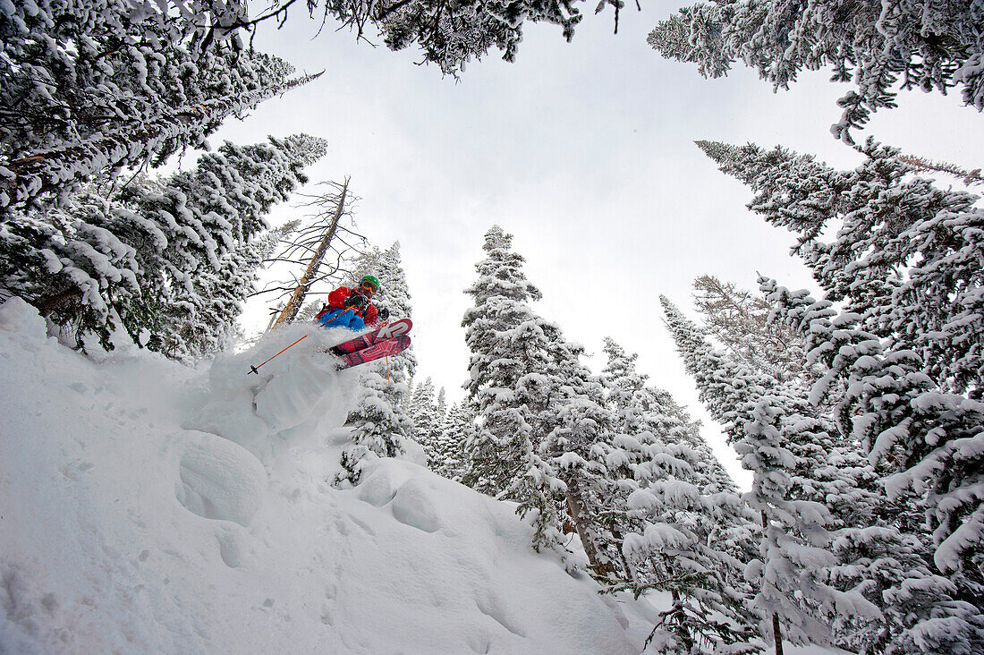 Tree-Skiing, Crested Butte, Colorado, USA