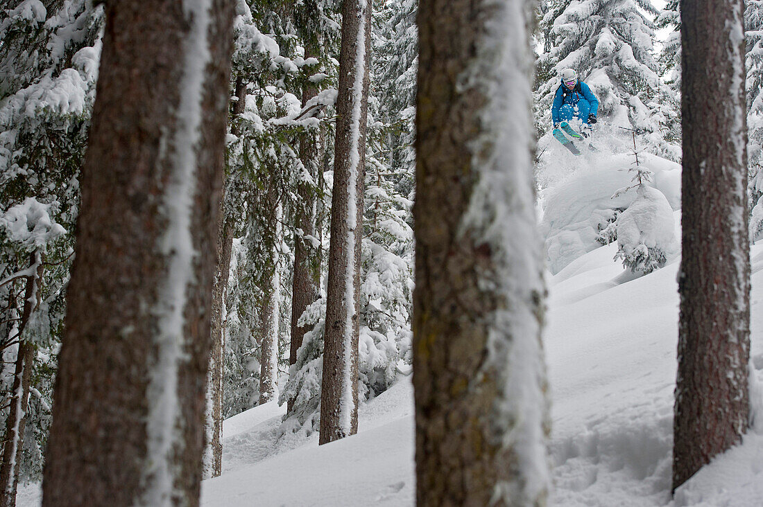 Tree-skiing, Kaltenbach, Tyrol, Austria