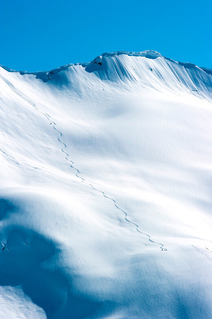 Skifahrer zieht Spur in Steilhang beim Heliskiing, Chugach Powder Guides, Girdwood, Alaska, USA
