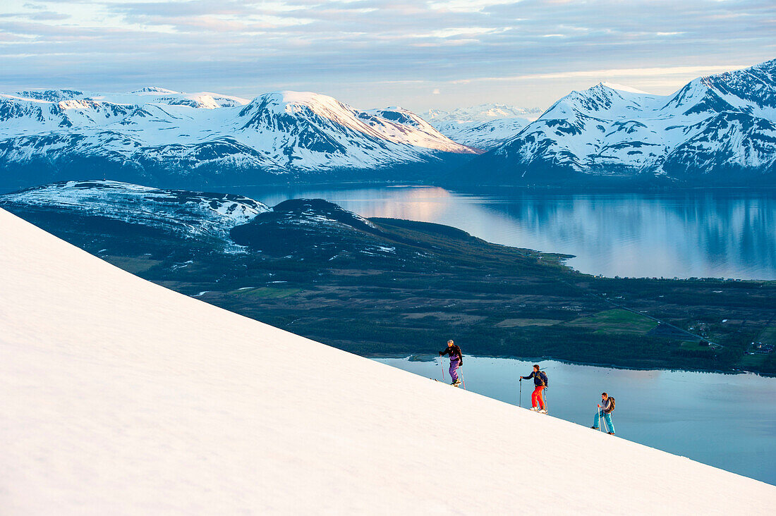 Skiers ascending in midnight sun, Lyngen Alps, Troms, Norway