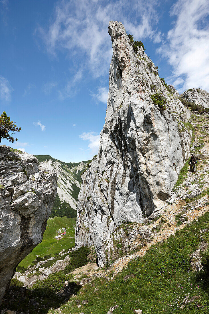 Ruchenköpfe, Mangfallgebirge, Bayern, Deutschland