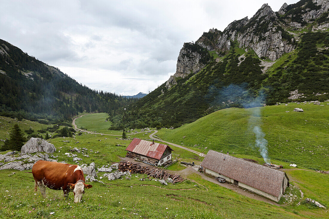 Alp Grosstiefentalalm, Ruchenkoepfe in background, Mangfall Mountains, Bavaria, Germany