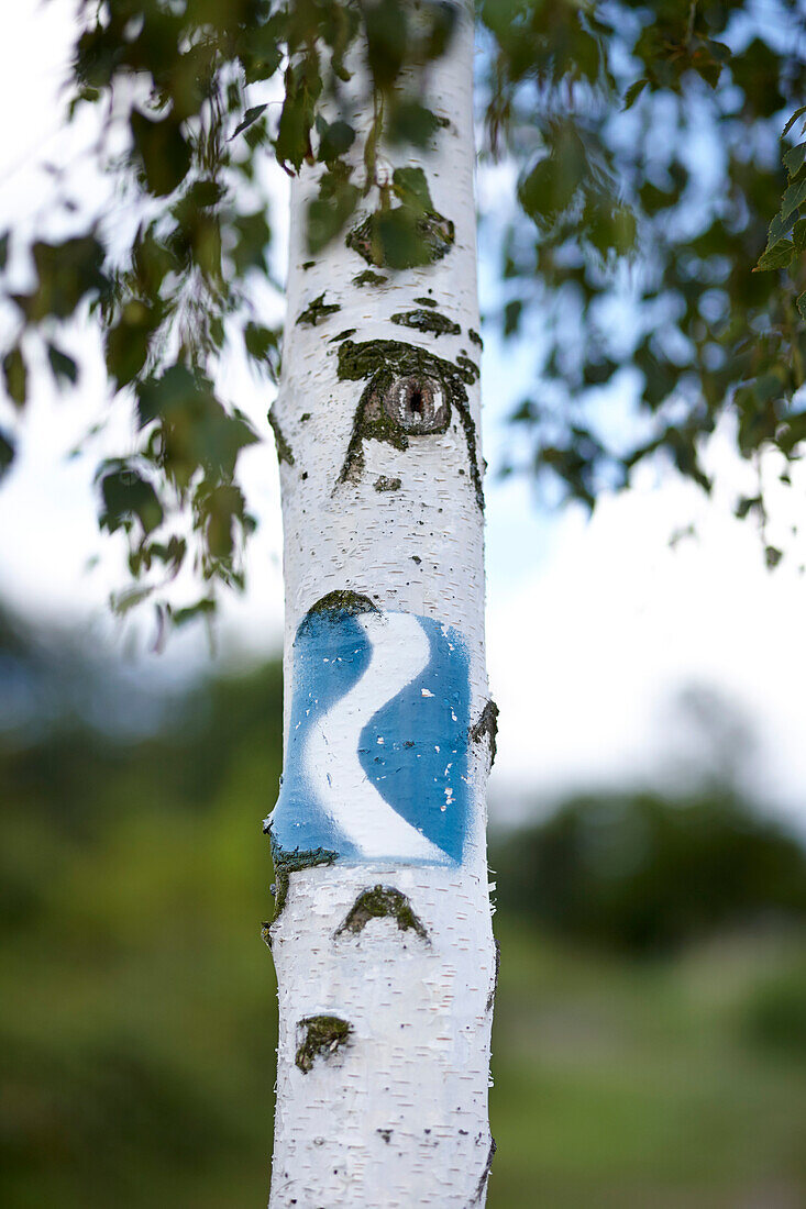 Rheinsteig trail marker, Braubach, Rhineland-Palatinate, Germany