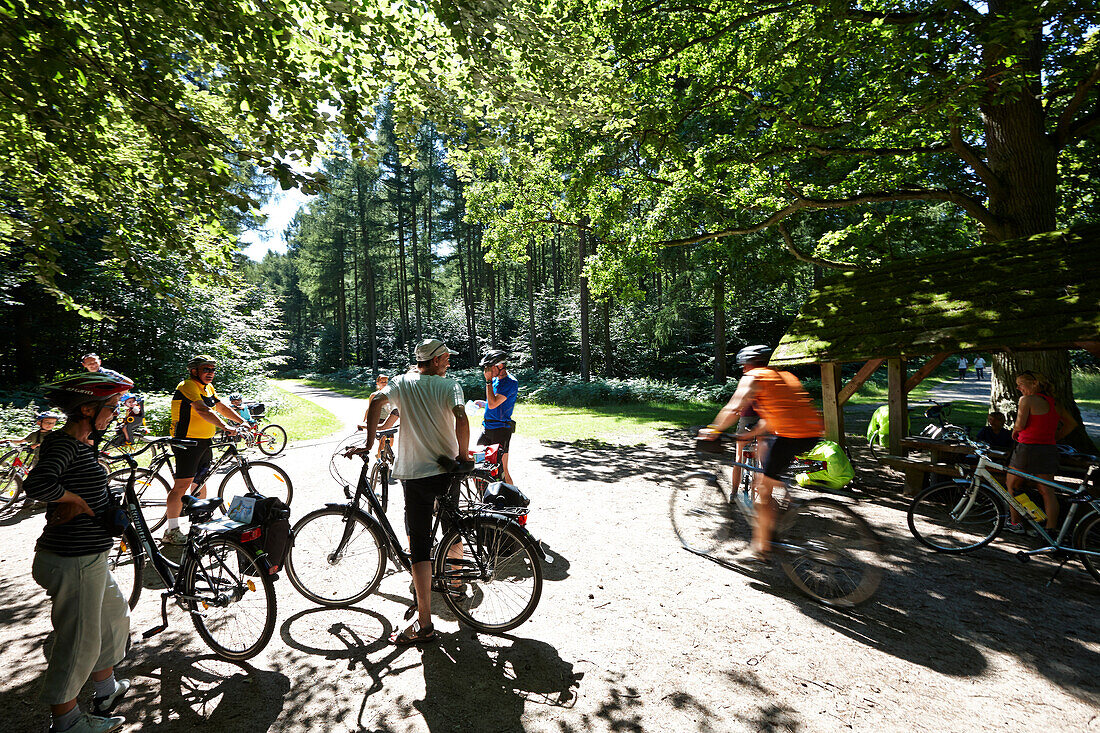Fahrradfahrer an einer Kreuzung im Buchenwald, Naturschutzgebiet Granitz, Biosphärenreservat Südost-Rügen, Insel Rügen, Mecklenburg-Vorpommern, Deutschland