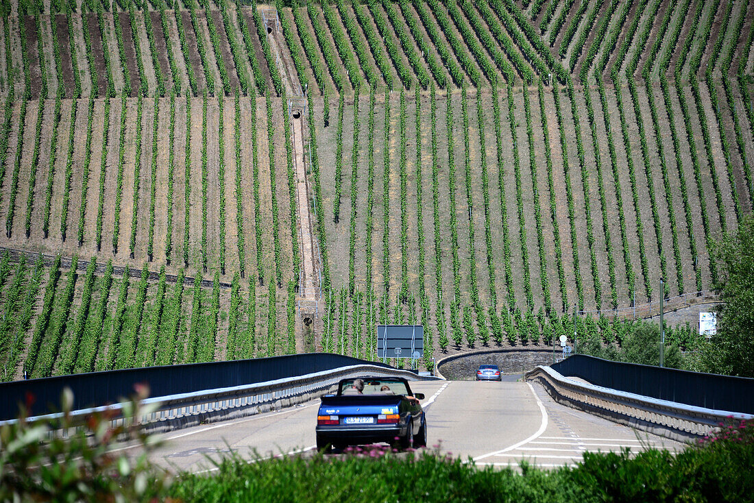 Vineyard and main road near Urzig near the river Mosel, Hunsruck, Rhineland-Palatinate, Germany