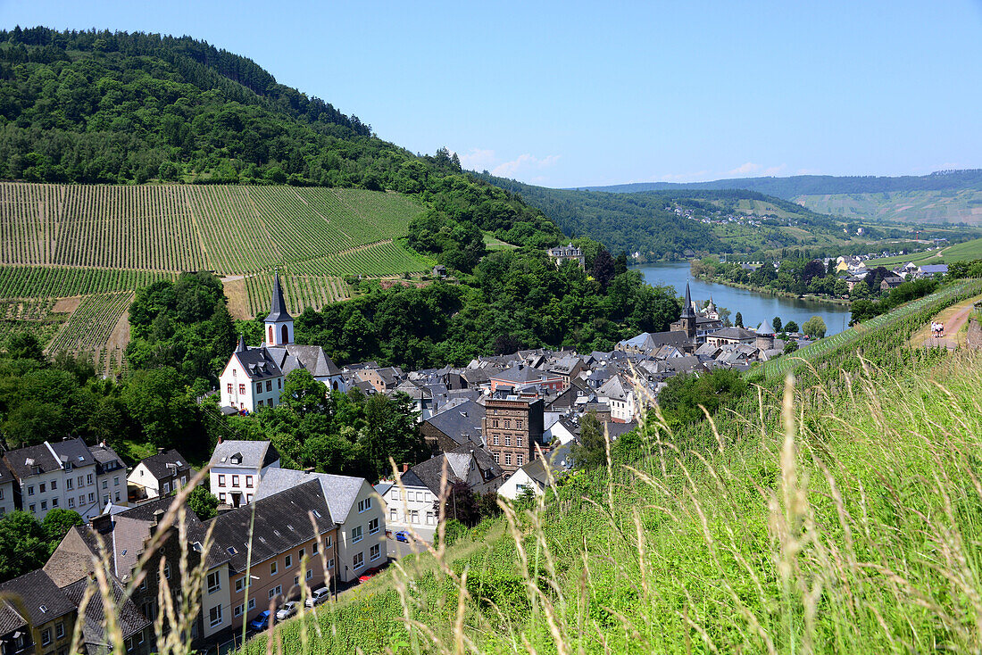 View to Traben-Trarbach on the river Mosel, Hunsruck, Rhineland-Palatinate, Germany