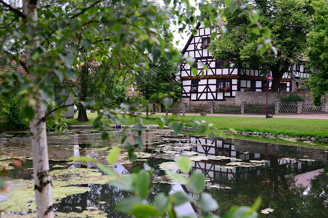 Teich in Behringen bei Bad Langensalza, Thüringen, Deutschland