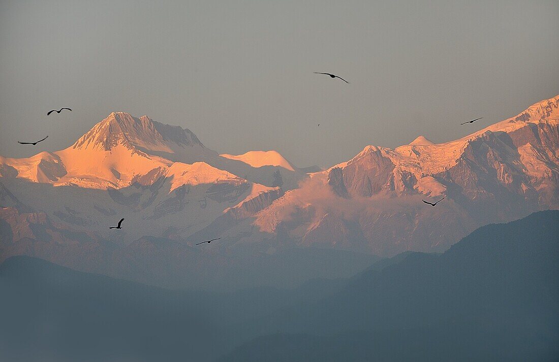 View of the Annapurna group at sunset, from the town of Pokhara, Nepal.