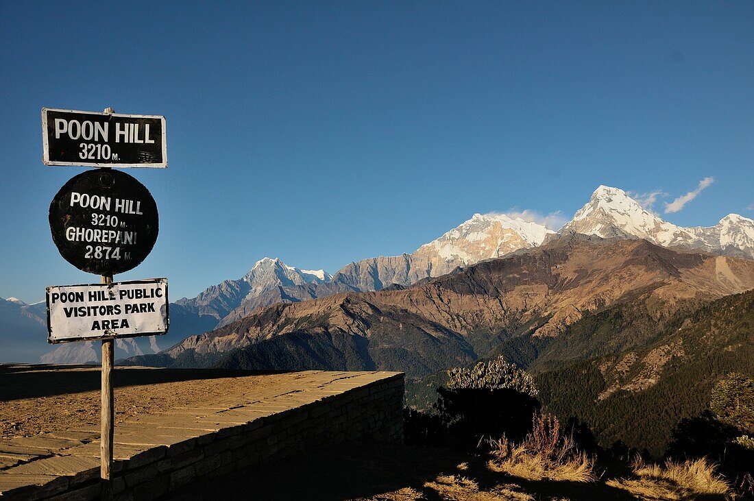 Poon Hill , 3210m, vantage point on the Annapurna Himalayas and the group. Nepal
