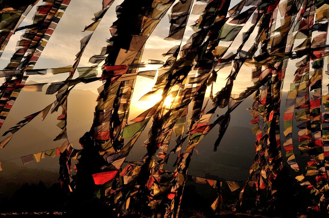 Prayer flags in the wind, Nepal
