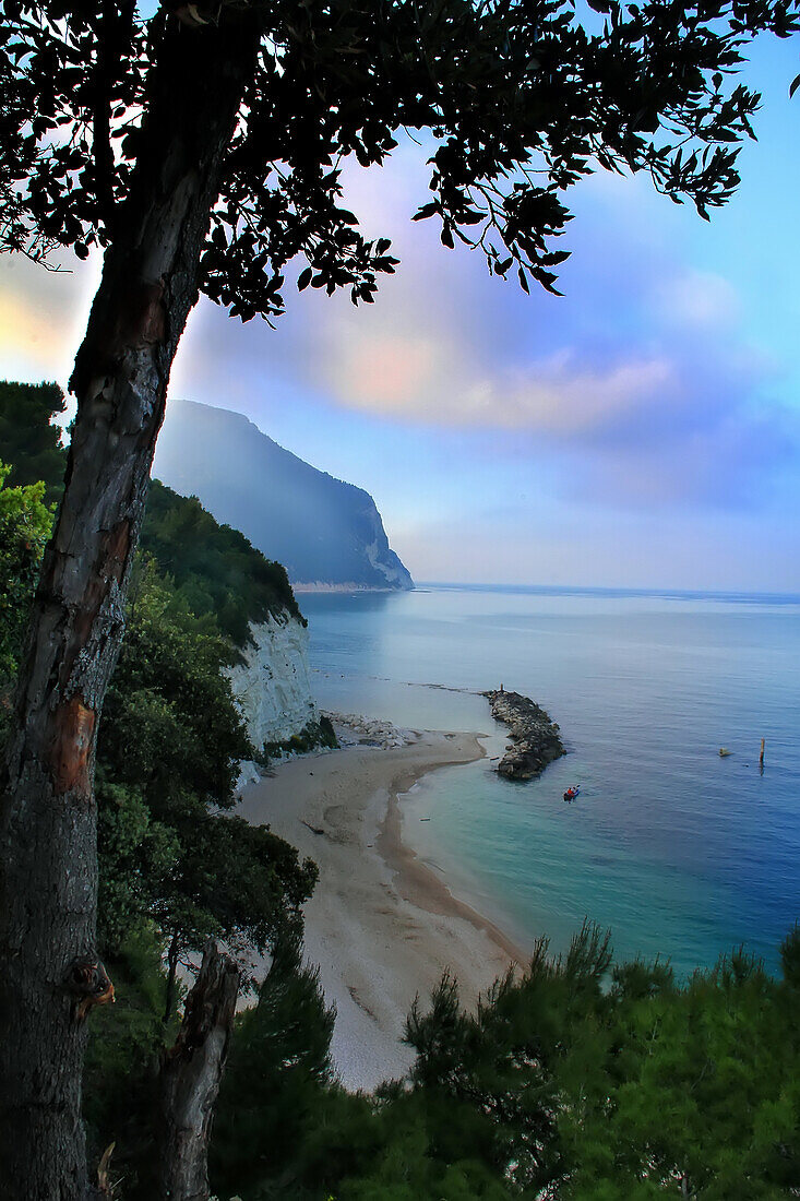 Vegetation and cliff, above a beach, with sea and on the background, a promontory , Marche