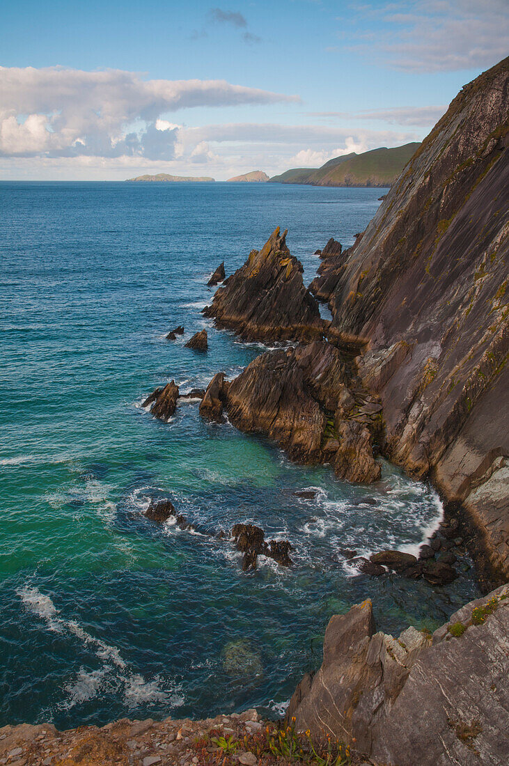 The indented coast of Slea Head in the early morning light, along the Dingle peninsula, Ireland