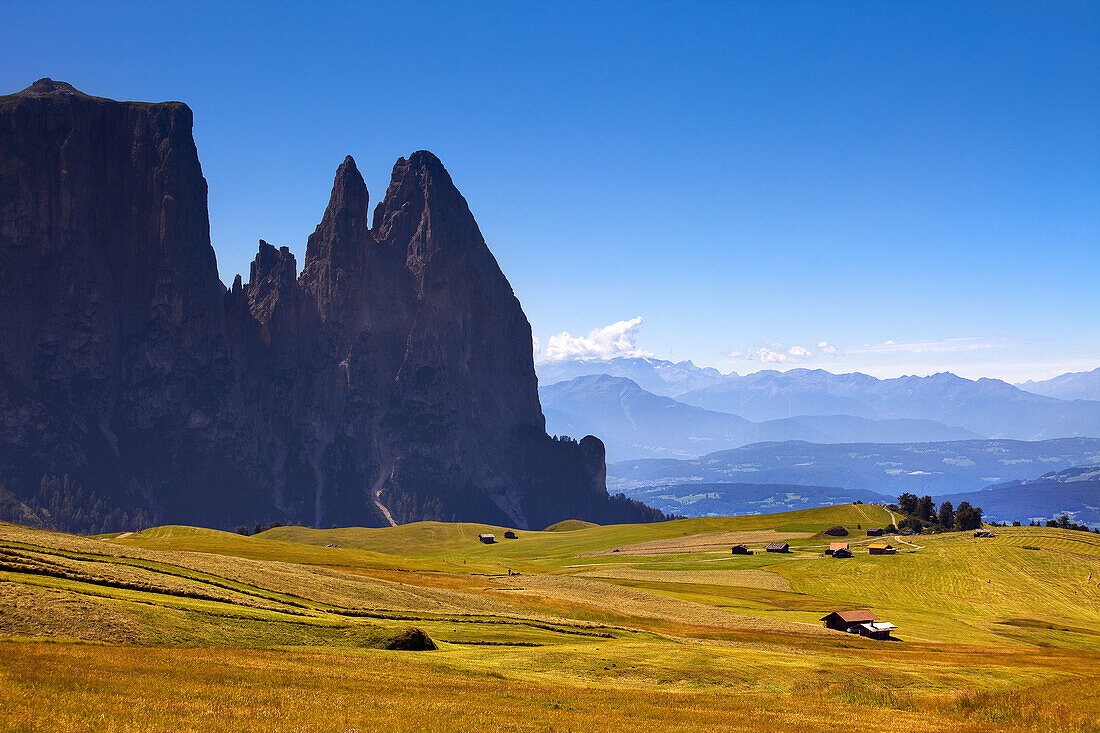 The pastures of Alpe di Siusi and the profiles of Sciliar massif in summertime , Dolomites.