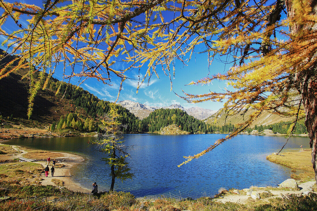 Autumnal colours on an alpine lake, Maloja pass, Engadine, Swiss alps