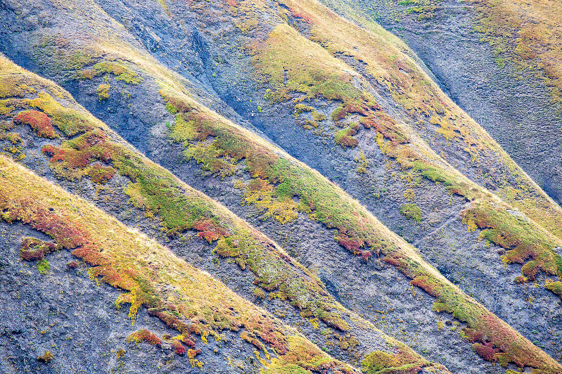 Detail of the unusual colors painting the slopes of the Arvan valley, Arvan valley, Alps, France.