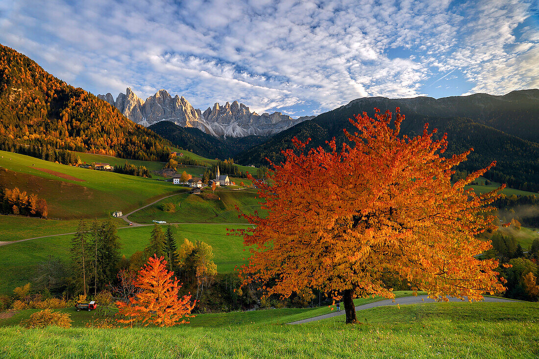The little village of Saint Madeleine, in Funes valley during the autumn season. In the background the Odle group., Puez-Odle natural park, Trentino Alto- Adige, Italy.