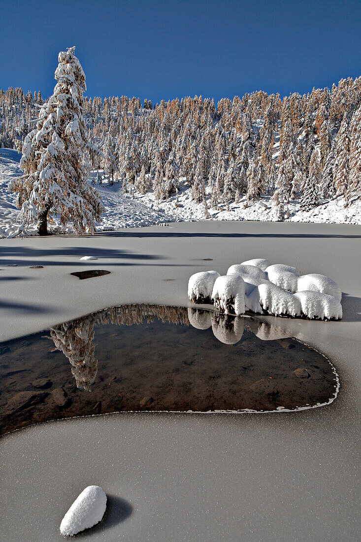 First autumnal snow on a little alpine lake, partially frozen, with snowy firs, Orobie Alps, Lombardy