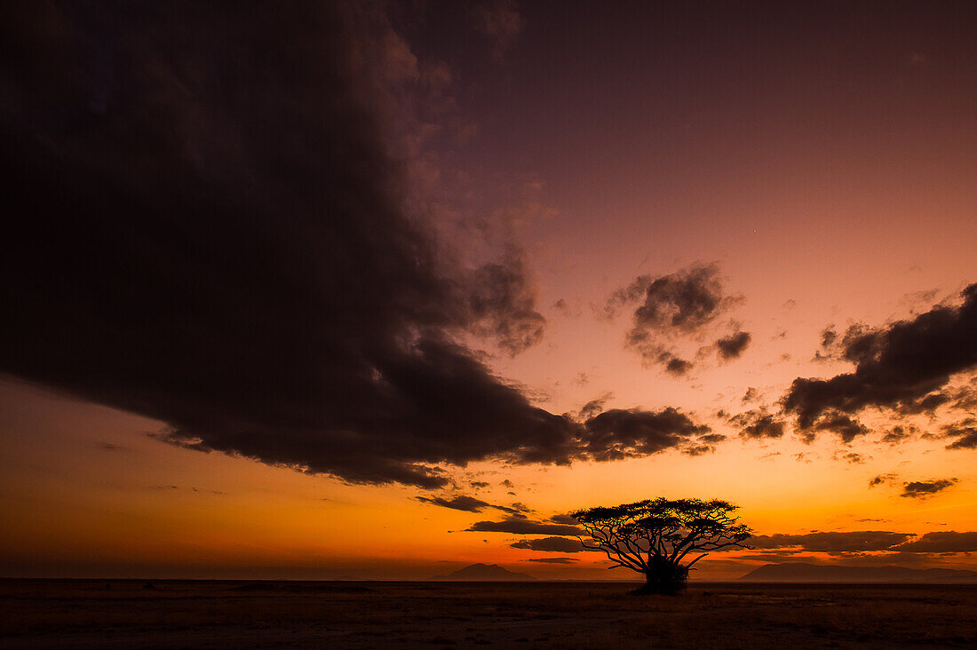 A classic African sunset, with its warm colors