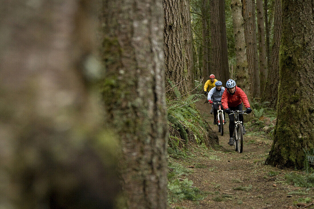 Three mountain bikers dressed in colorful clothing riding the Discovery Trail outside of Port Angeles, Washington.