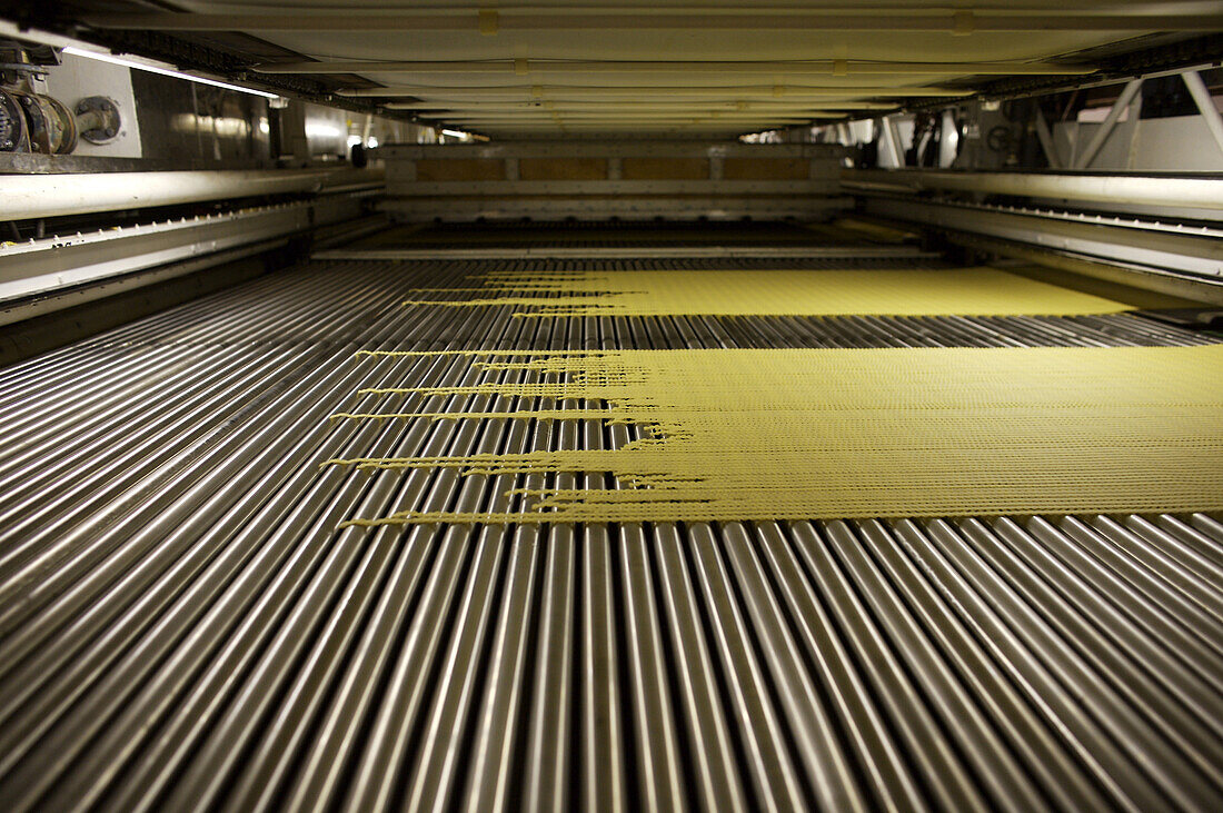 Drying pasta runs across rollers at Barilla, the world's largest pasta factory near Parma, Italy.