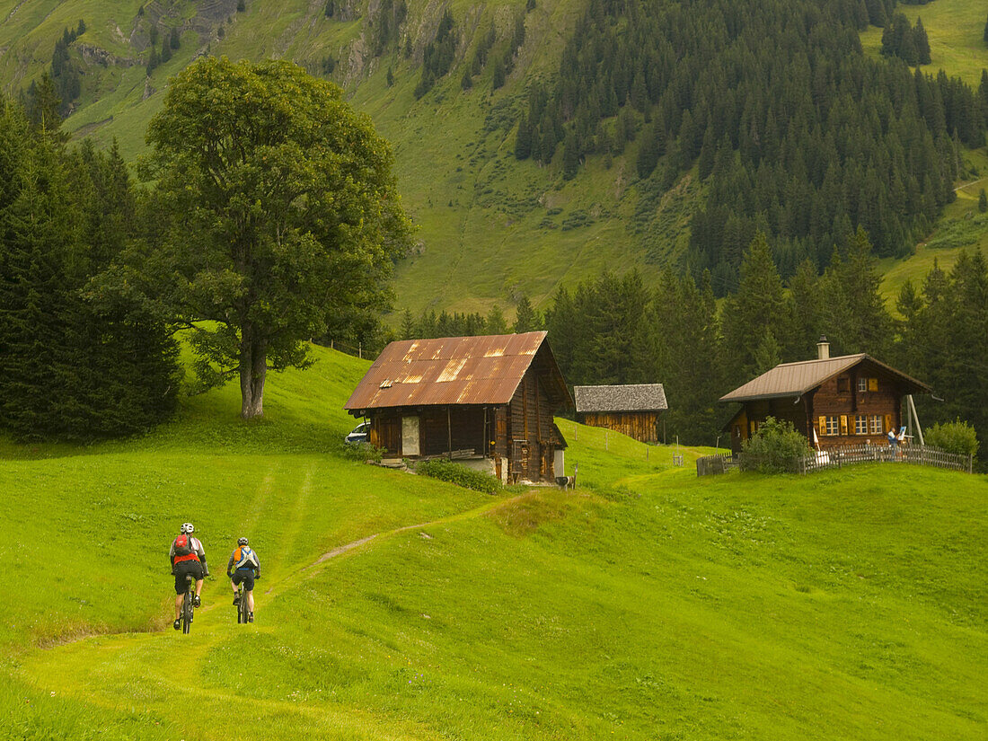 Two mountain bikers are descending a green scenery while riding the bike trail near First, above Grindelwald.