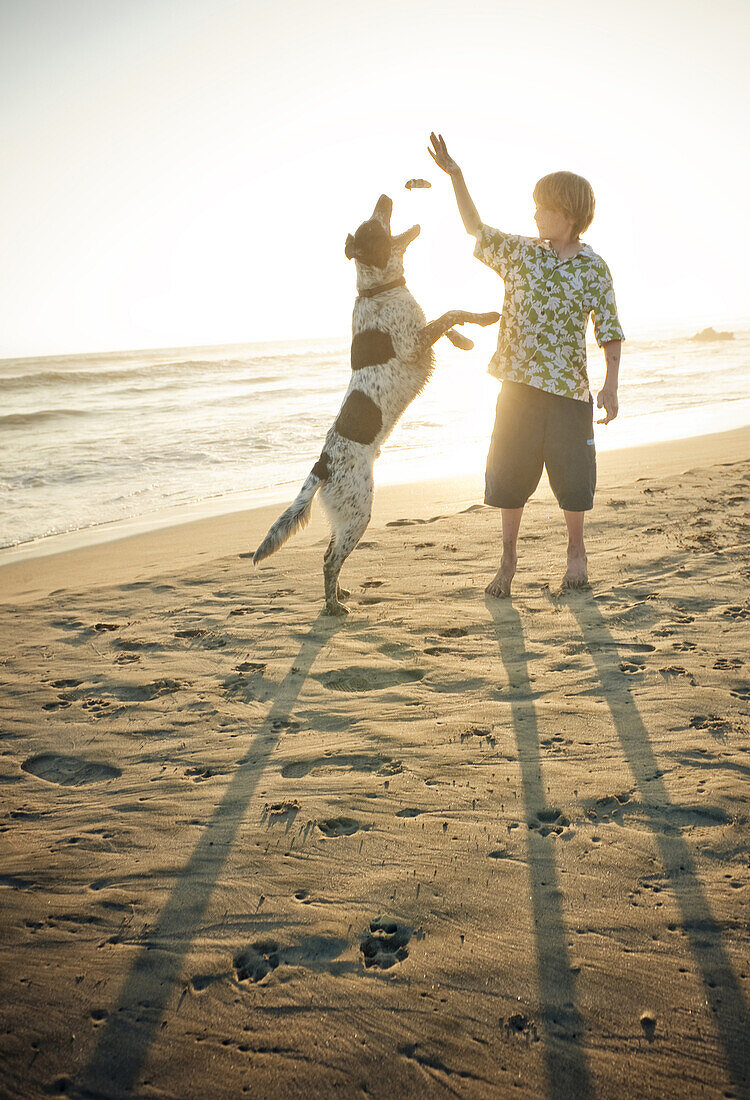 Aidan Steele, age 12, plays fetch with his dog Mancha Spot, as the sun sets on a quiet beach in Troncones, Mexico on April 2, 2009.