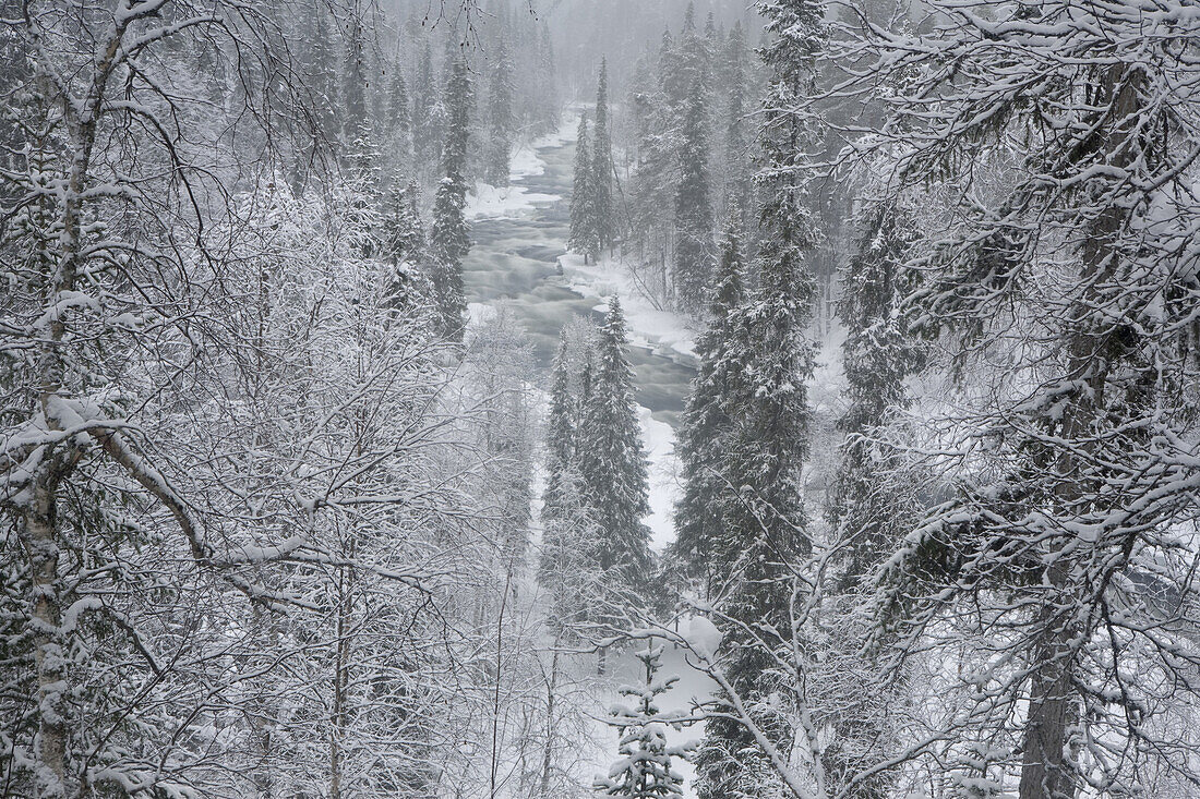 The Kitka River in Oulanka National Park, Finland.