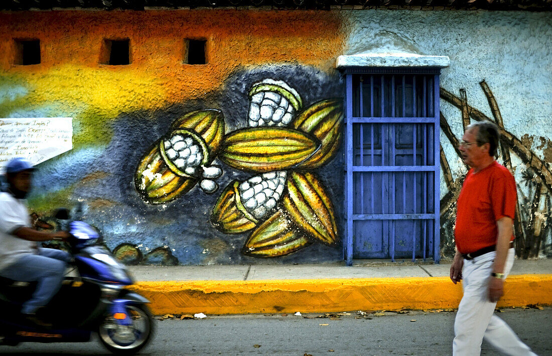 A painting of Cacao pods reminds residents and visitors of the fruits' significant history in Puerto Colombia, Venezuela. Cacao is the raw ingredient used for making fine chocolate coveted in Europe and the United States. The cacao from this region of Ven