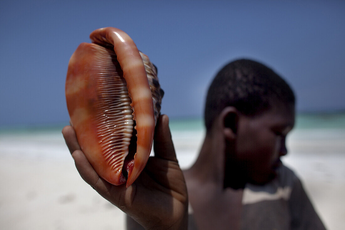 Locals are selling beautiful shells to the tourists.