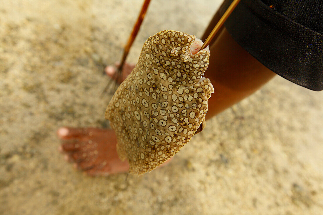 Children with this catch after a good session of spare fishing with a trident at Hessessai Bay at PanaTinai Panatinane,island in the Louisiade Archipelago in Milne Bay Province, Papua New Guinea.