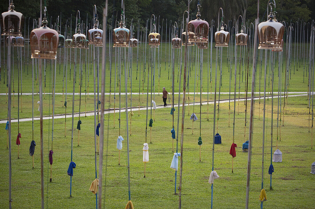 Caged Zebra Doves sing in the morning at a park with special poles that allow the bird's owners to raise them like flags.  The sought after birds which can cost as much as $90,000 Singapore Dollars, are prized for the beautiful song they sing through thei