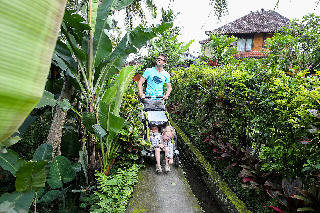 Father with his two children walking along a path, baby, 3 year old boy, stroller, jungle, tropical flowers, trees, house, western family, family travel in Asia, parental leave, MR, Ubud, Bali, Indonesia