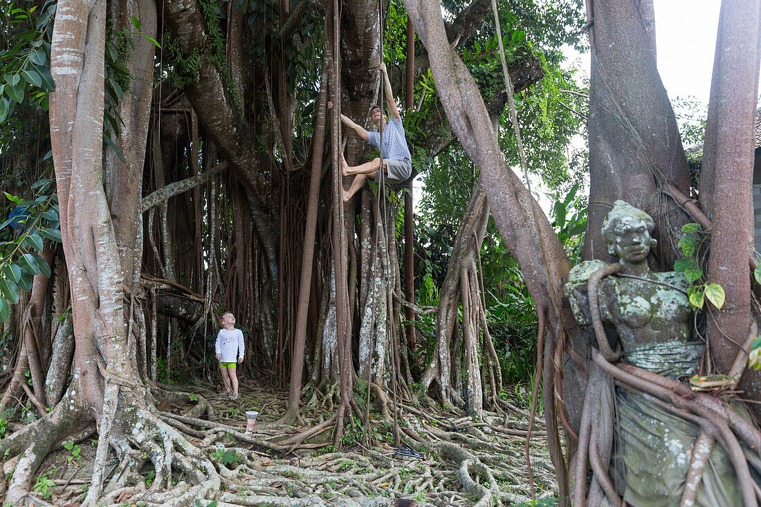 Banyan Baum, balinesische Skulptur, Tempeltänzerin, Vater und Sohn klettern im Baum, Junge, 3 Jahre alt, tropische Vegetation, Elternzeit in Asien, Familie, MR, Ubud, Bali, Indonesien