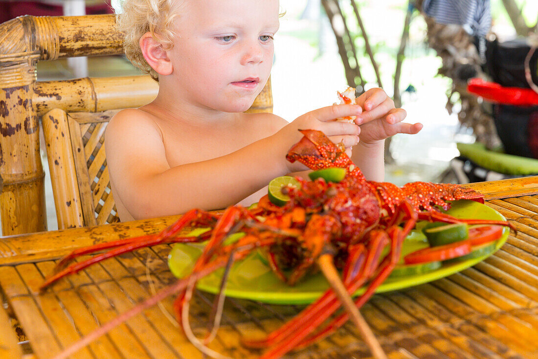 Little boy eating lobster, seafood, fresh from the sea, bamboo furniture, table, beach restaurant, boy 3 years old, blond, holiday, family travel in Asia, parental leave, German, European, MR, Gili Air, Gili Inseln, Lombok, Indonesia