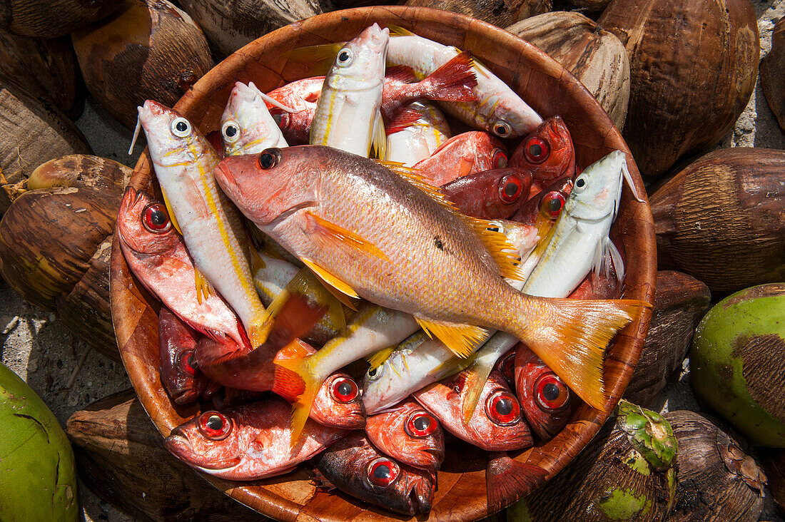 Bunte Fische auf dem Fischmarkt, Makemo, Tuamotu-Inseln, Französisch Polynesien, Südpazifik